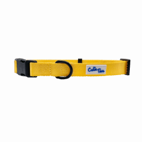 Cutie Ties Fun Design Dog Collar (Color: Yellow, size: medium)