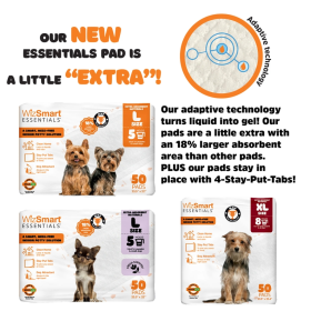 WizSmart Essentials Pads (scent: charcoal)