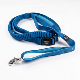 Cascades Stretchable Runner Dog Leash (Color: Blue)