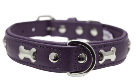 Rotterdam Bones Dog Collar by Angel (color/size: 20" x 1", Orchid Purple)