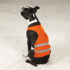 GG Safety Vest (Color: Orange, size: medium)