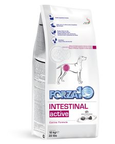 Active Dog Intestinal (size: 22lb)