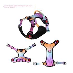 USB Rechargeable Pet LED Luminous Chest Strap (Option: Colorful-M)